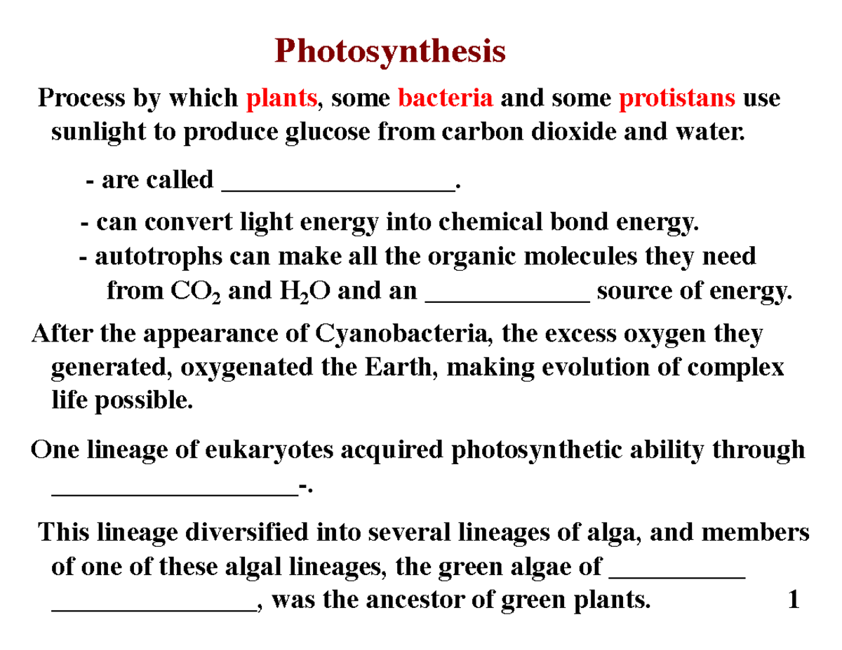 Lecture 9 can convert light energy into chemical bond energy. Process