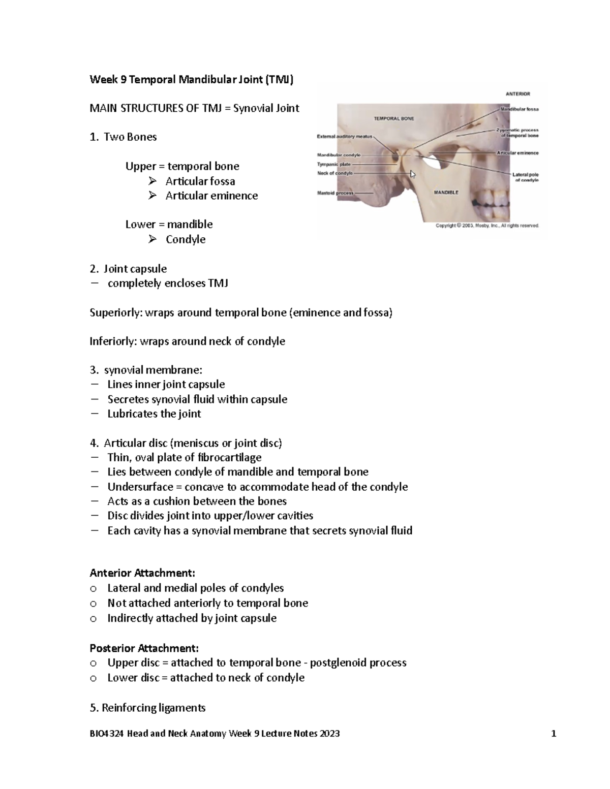 Week 9 student notes W23 - Week 9 Temporal Mandibular Joint (TMJ) MAIN ...