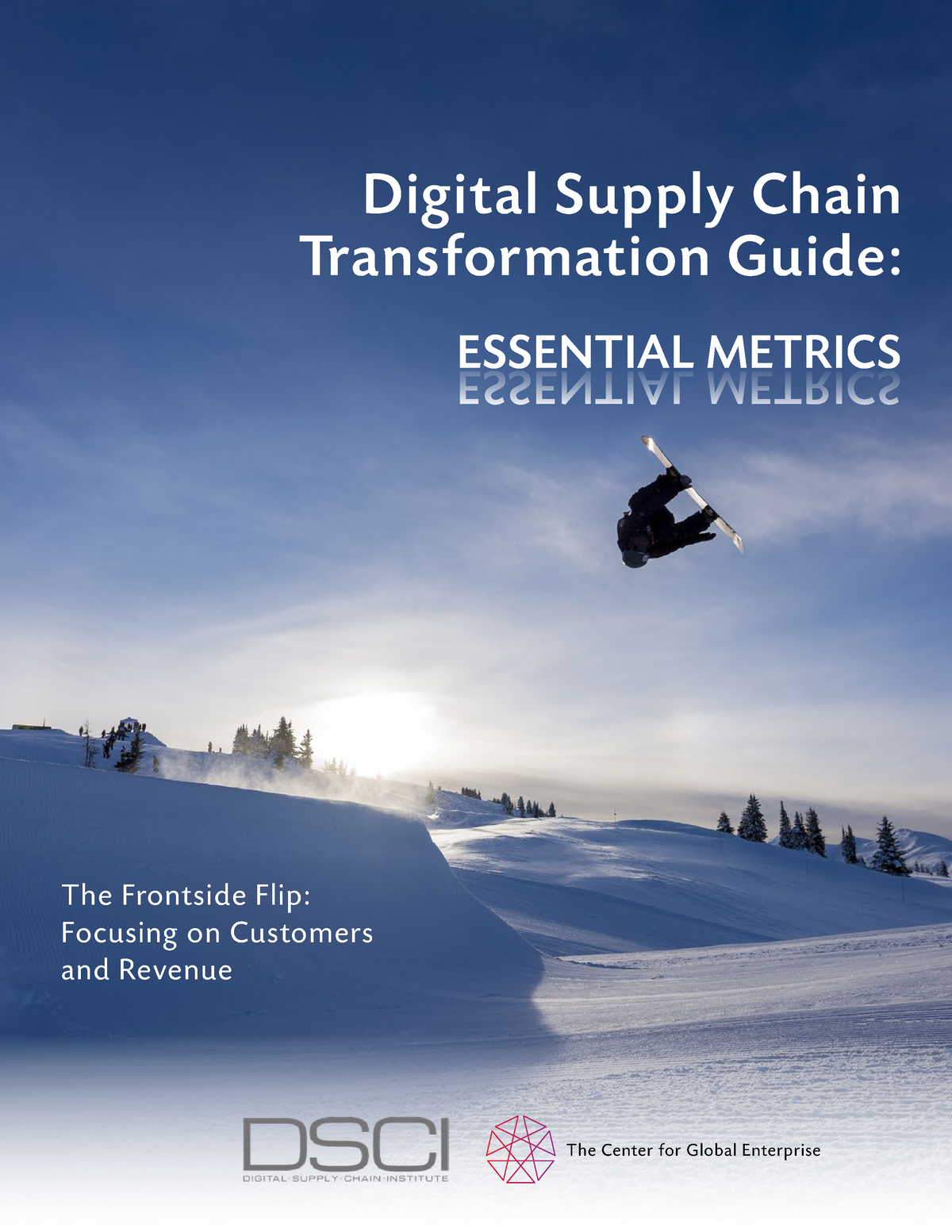 Digital Supply Chain Transformation Guide (PDF) - ESSENTIAL METRICS ...