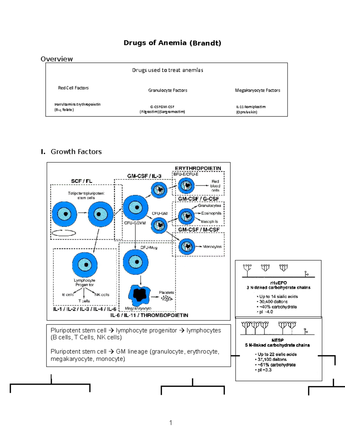 Drugs Of Anemia Brandt Meid 701 300 Tamu Studocu - 