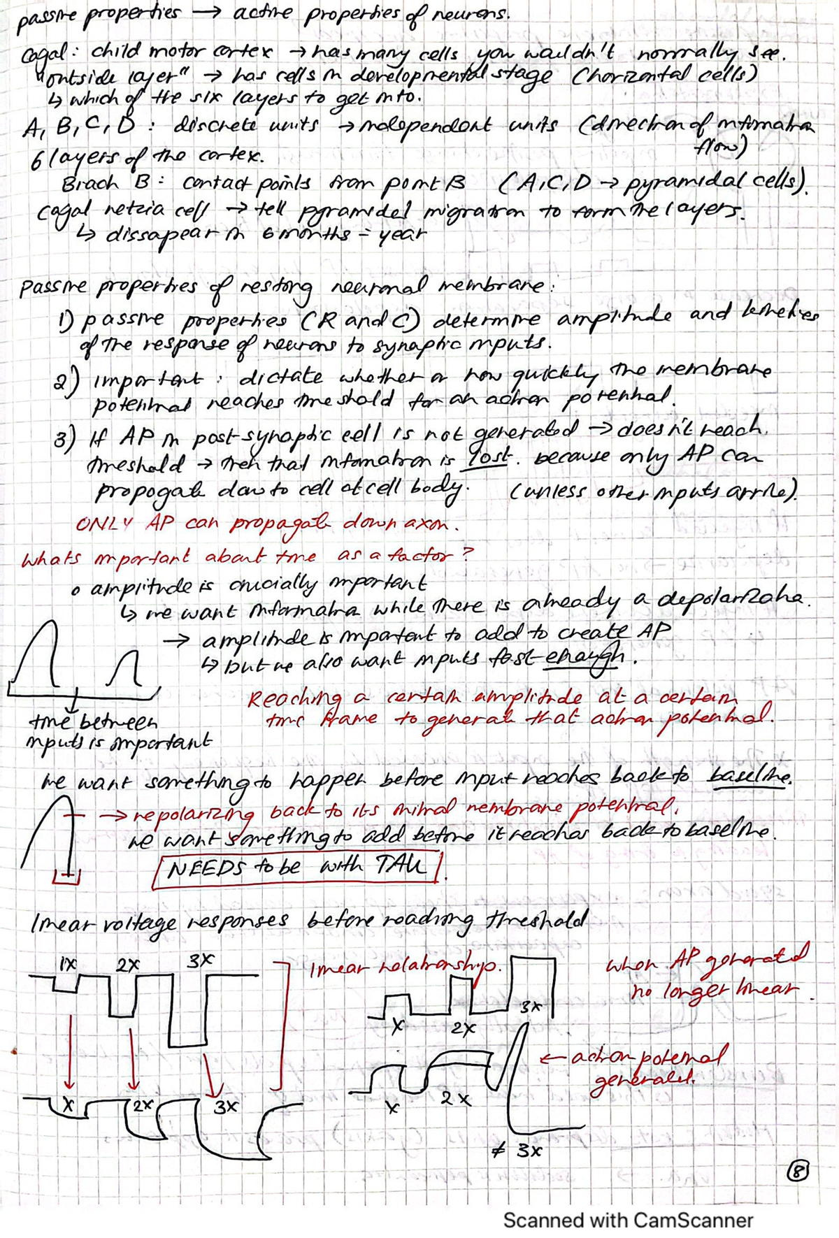 NEUROSCIENCE 301 NOTES - NEUSCI 301 - Studocu