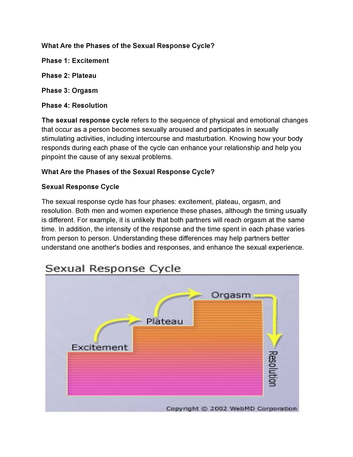 Phases Of The Sexual Response Cycle Knowing How Your Body Responds During Each Phase Of The 