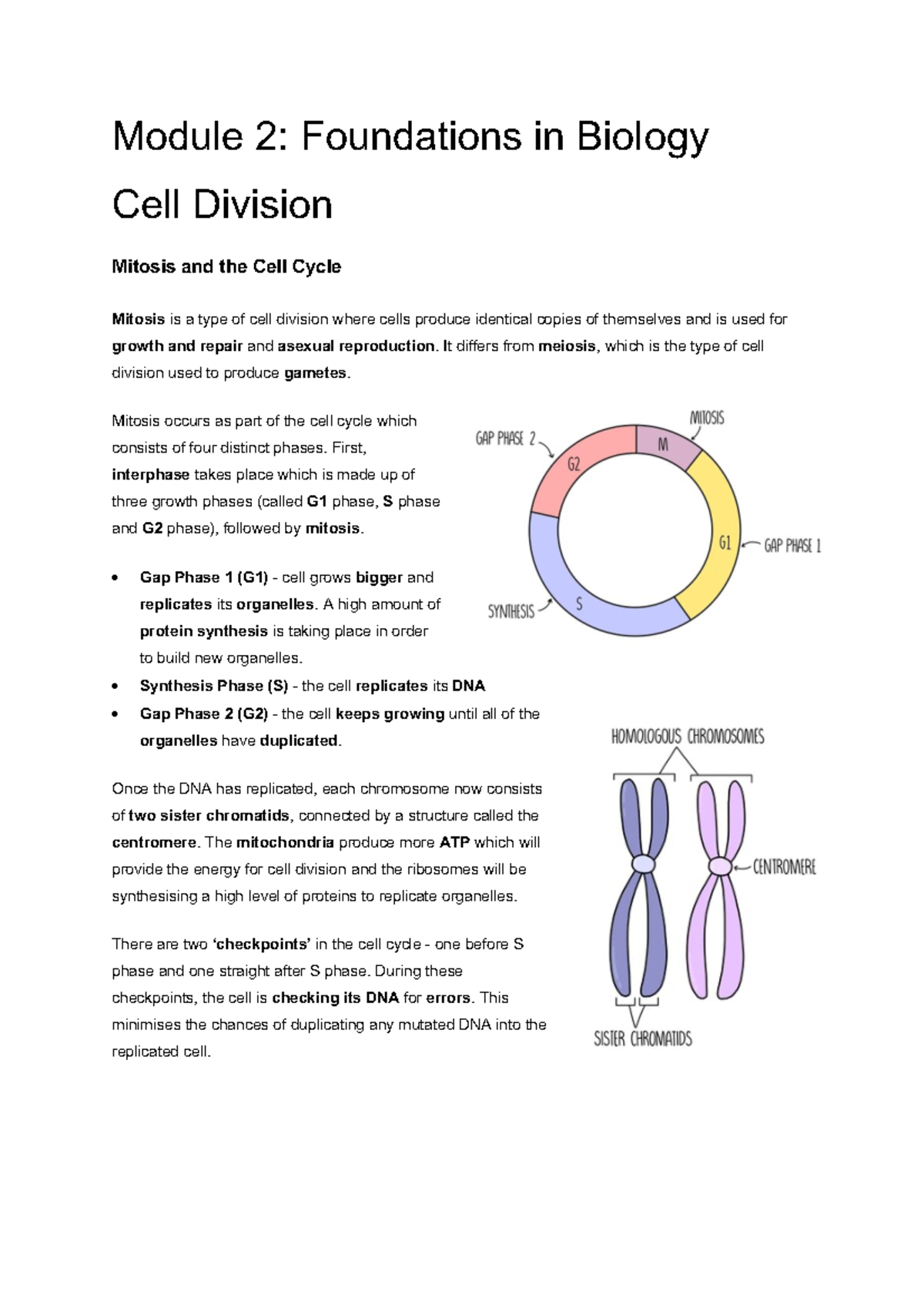 Module+2+Cell+division - Module 2: Foundations in Biology Cell Division ...