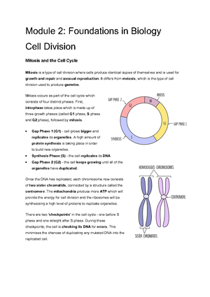 Module+2+Nucleic+Acids - Module 2: Foundations in Biology Nucleic Acids ...