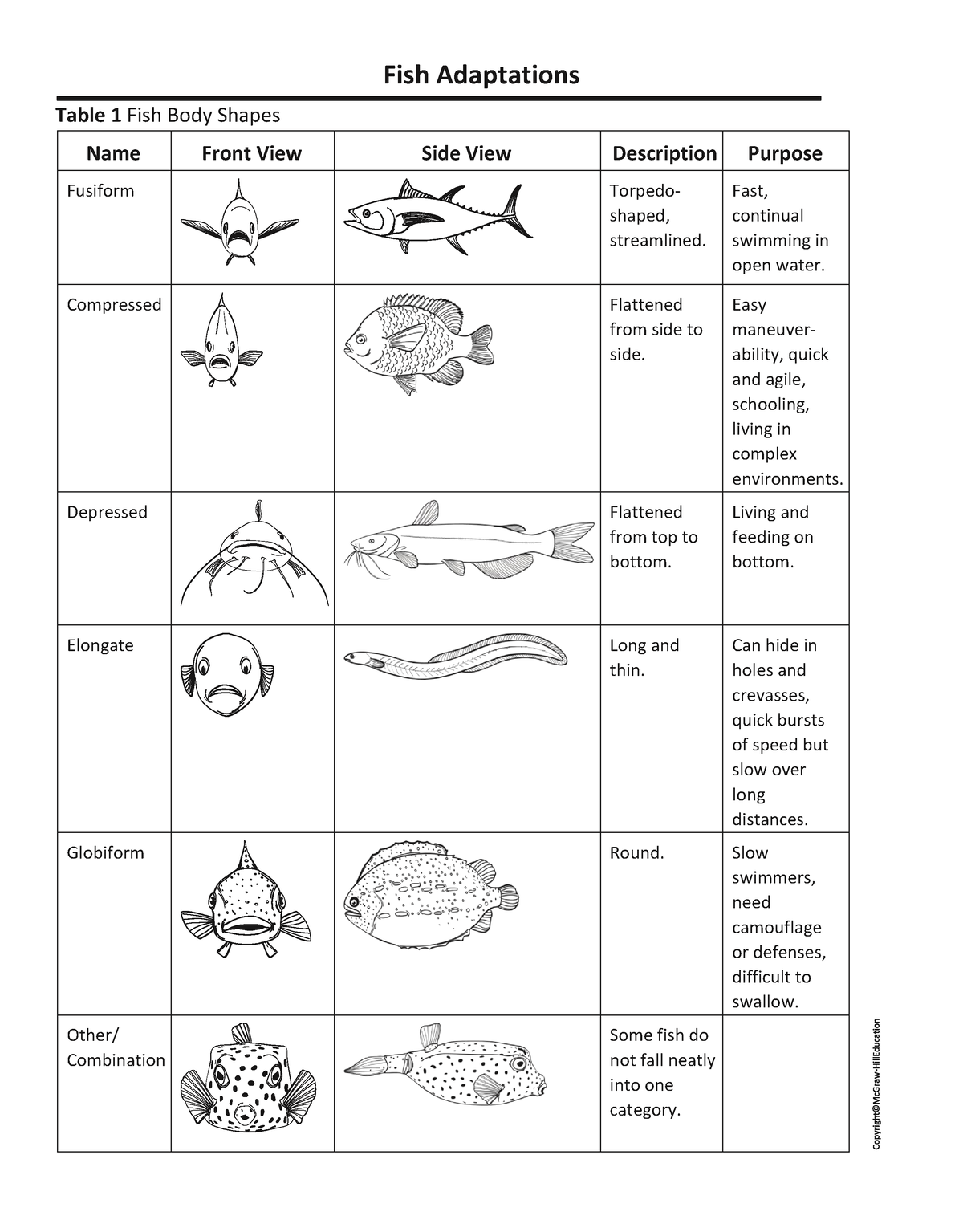 Fish Adaptation lab - worksheet - Fish Adaptations Table 1 Fish Body ...