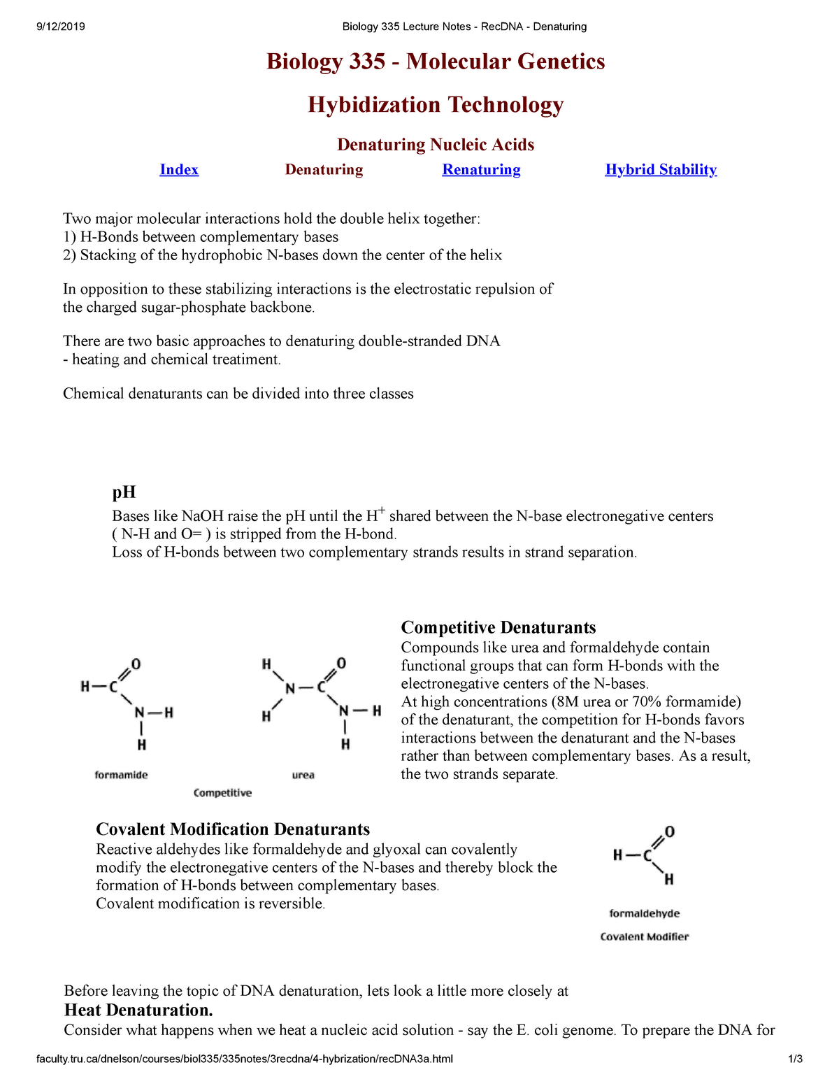 dna-melting-point-summary-of-the-lecture-6-9-12-2019-biology-335