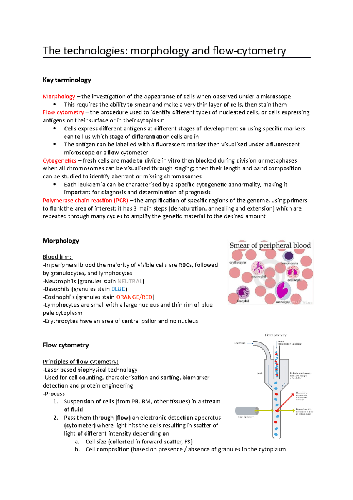 BSc - The technologies - morphology and flow cytometry - The ...