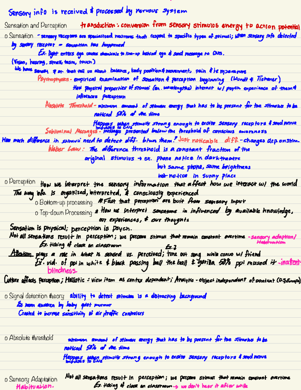 Sensation and Perception light enters eye causeschemicalstoline up