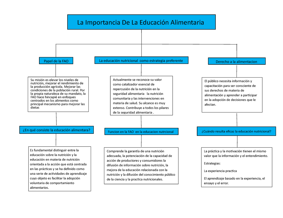 Mapa Conceptual De La Importancia De La Educación Alimentaria La Importancia De La Educación 8246