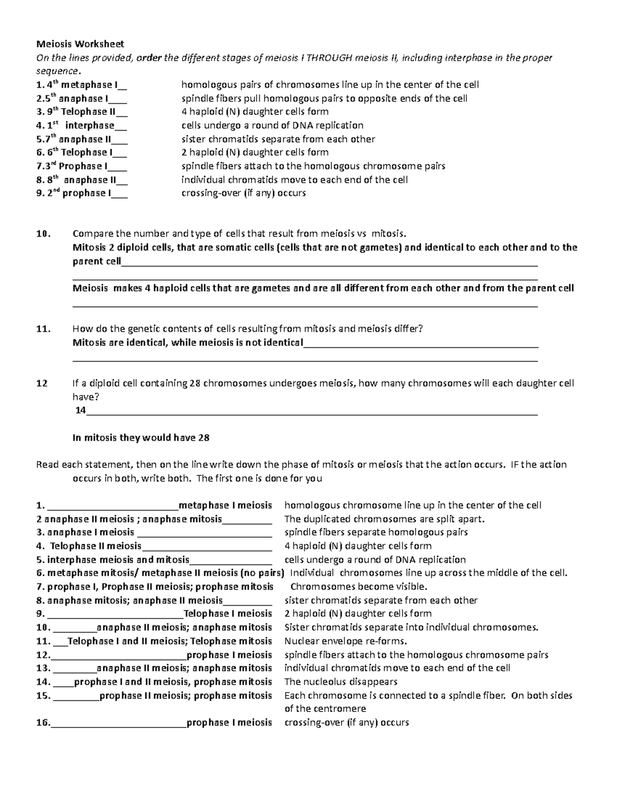 Meiosis Worksheet 13 key - Meiosis Worksheet On the lines provided ...