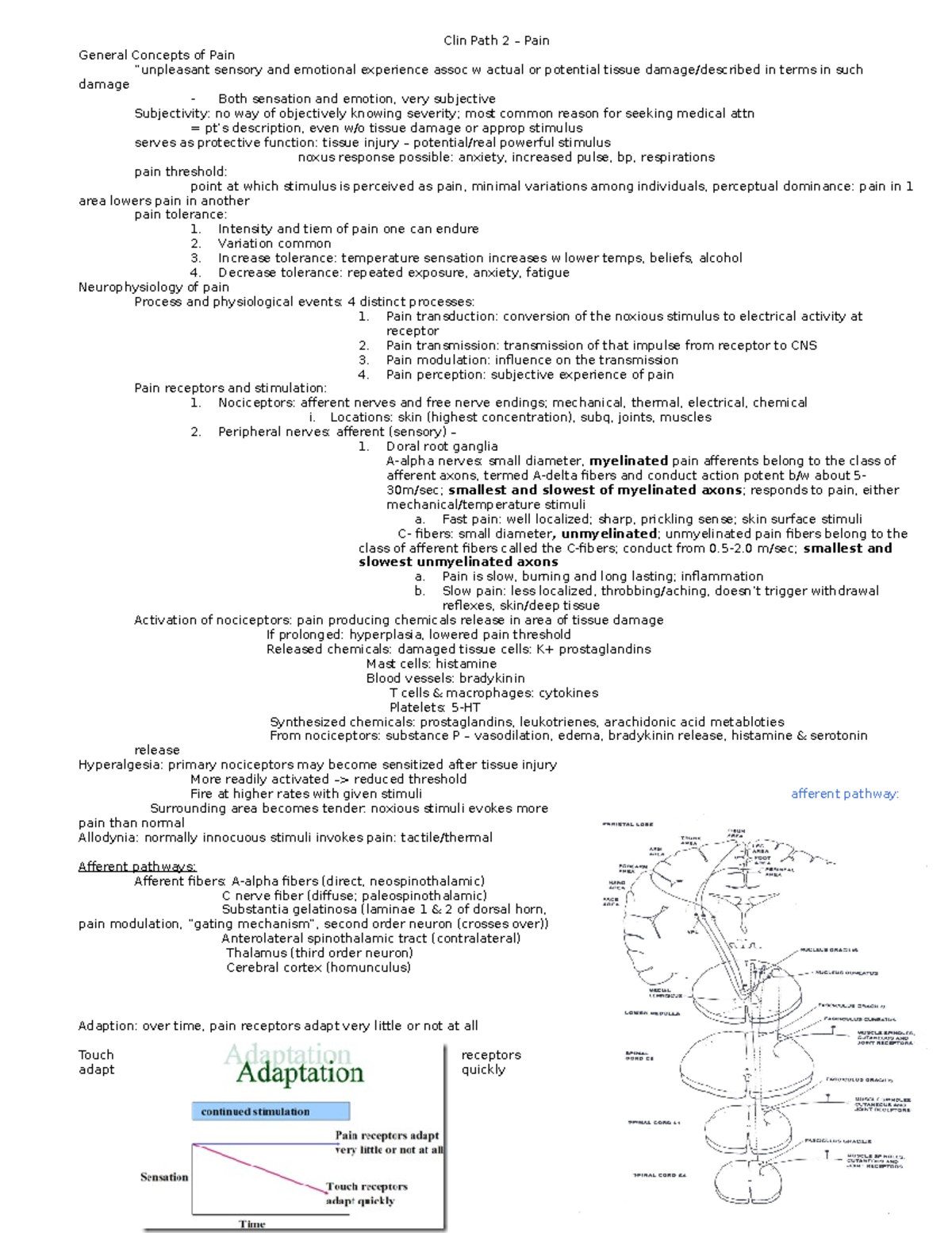 Clin Path 2 – Pain - Summary of lecture from Clinical Pathophysiology ...