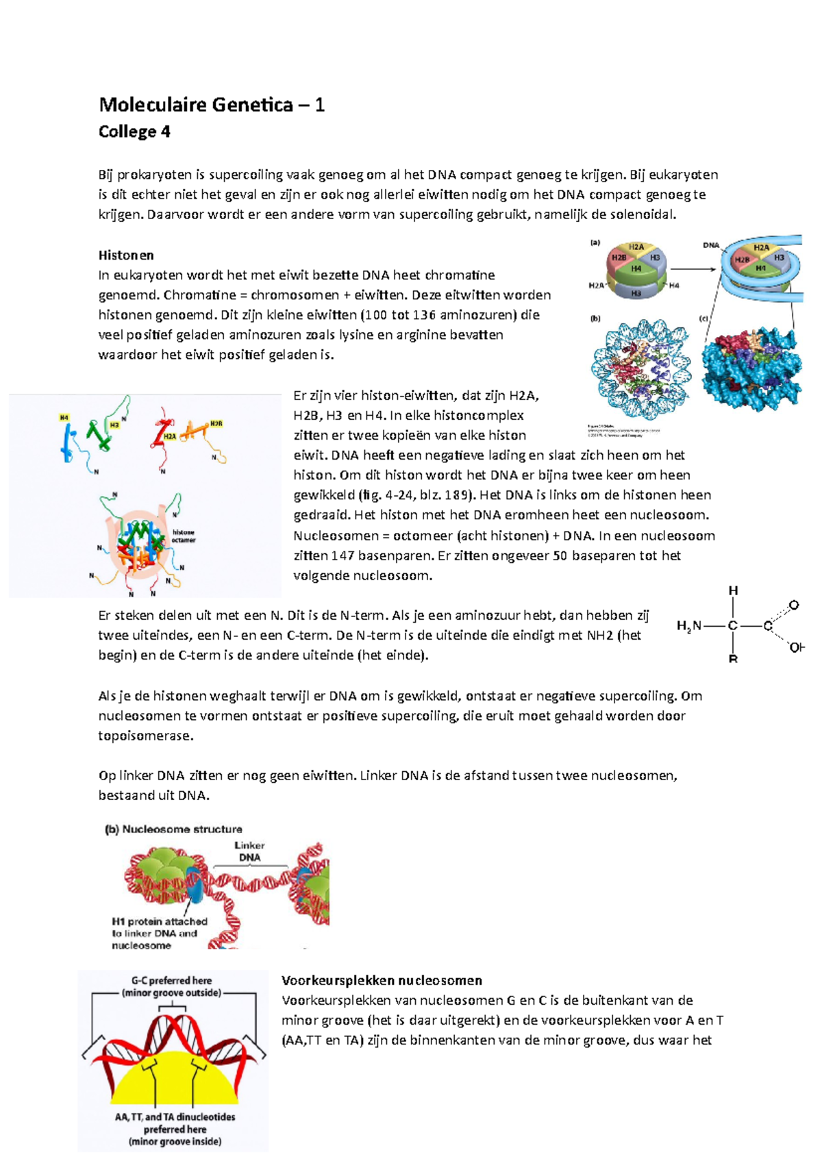 College 4 (11-9-2018 ) - Moleculaire Genetica – 1 College 4 Bij ...