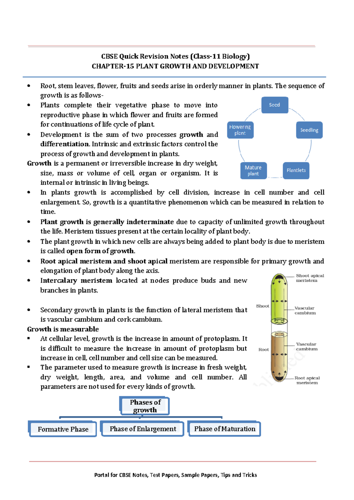 11 Biology Notes Ch15 Plant Growth And Development - CBSE Quick ...