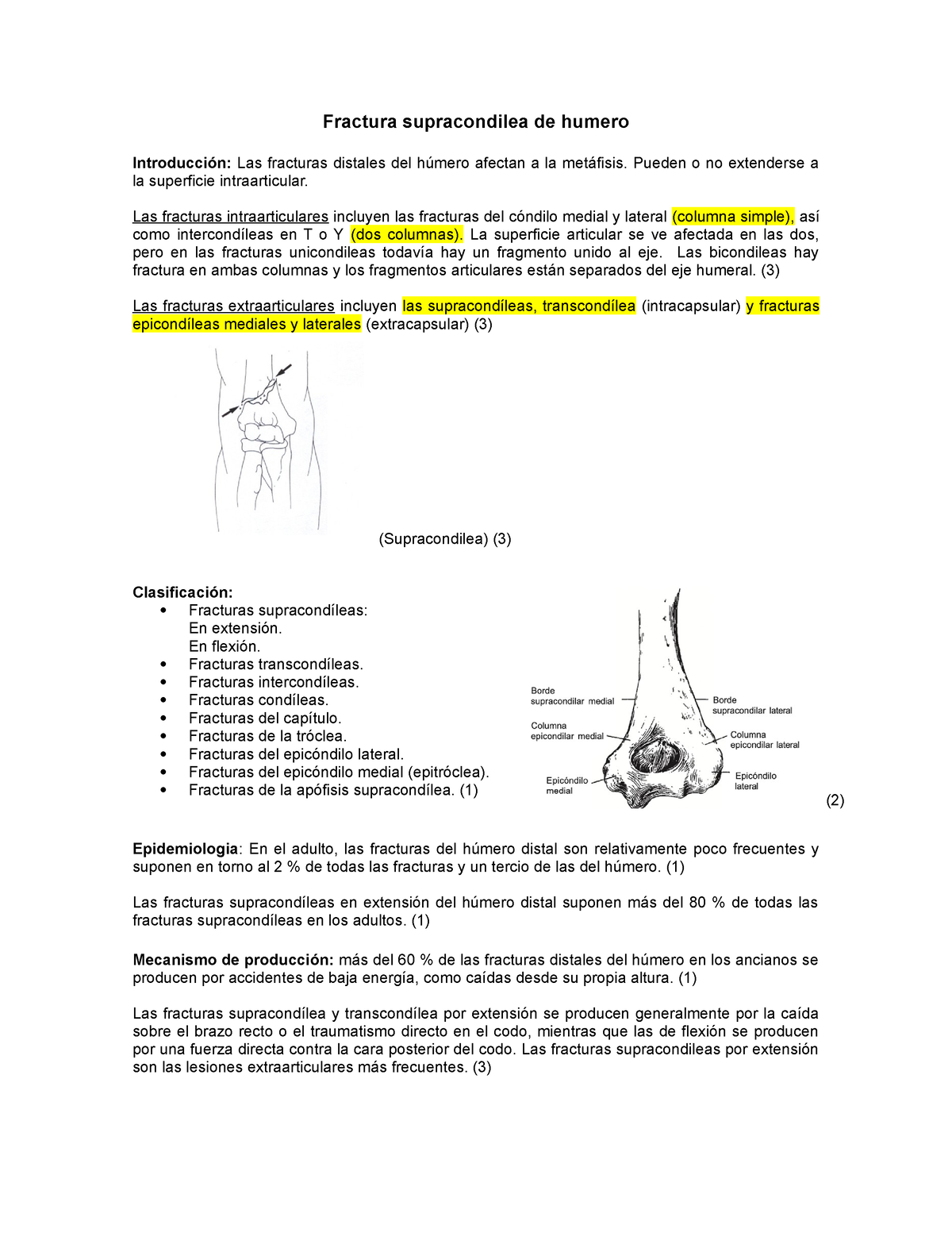 Fractura Supraintercondilea De Humero Fractura Supracondilea De Humero Introducci N Las