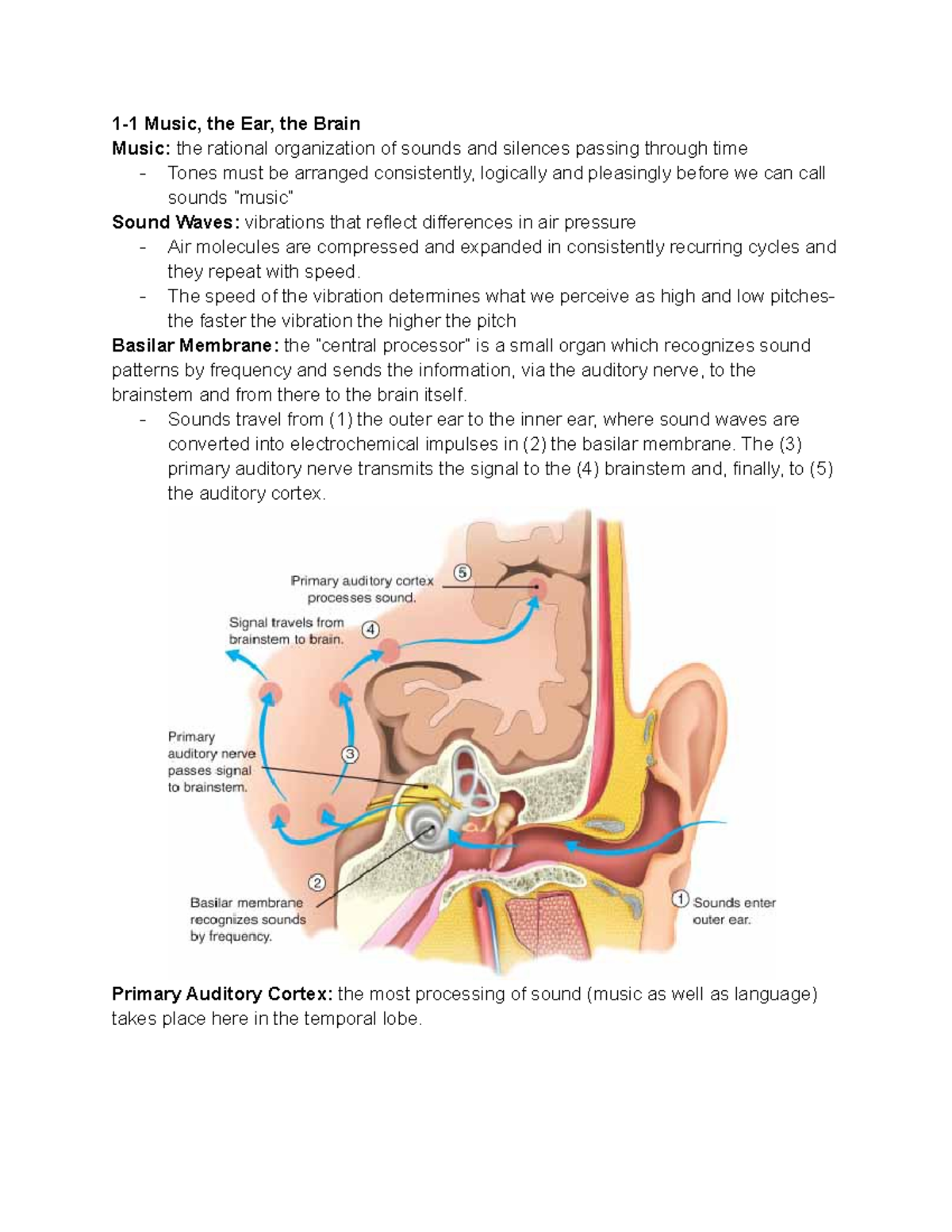 CH 1 The Power of Music - 1-1 Music, the Ear, the Brain Music: the ...