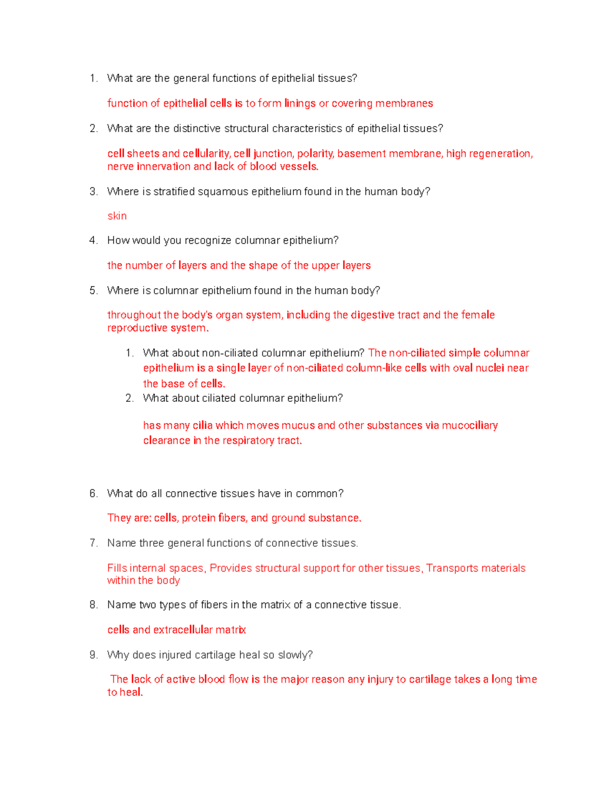 work for class j - What are the general functions of epithelial tissues ...