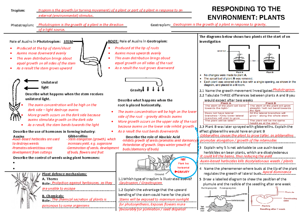 8.1 one pager Tropisms 2020 MEMO - RESPONDING TO THE ENVIRONMENT ...