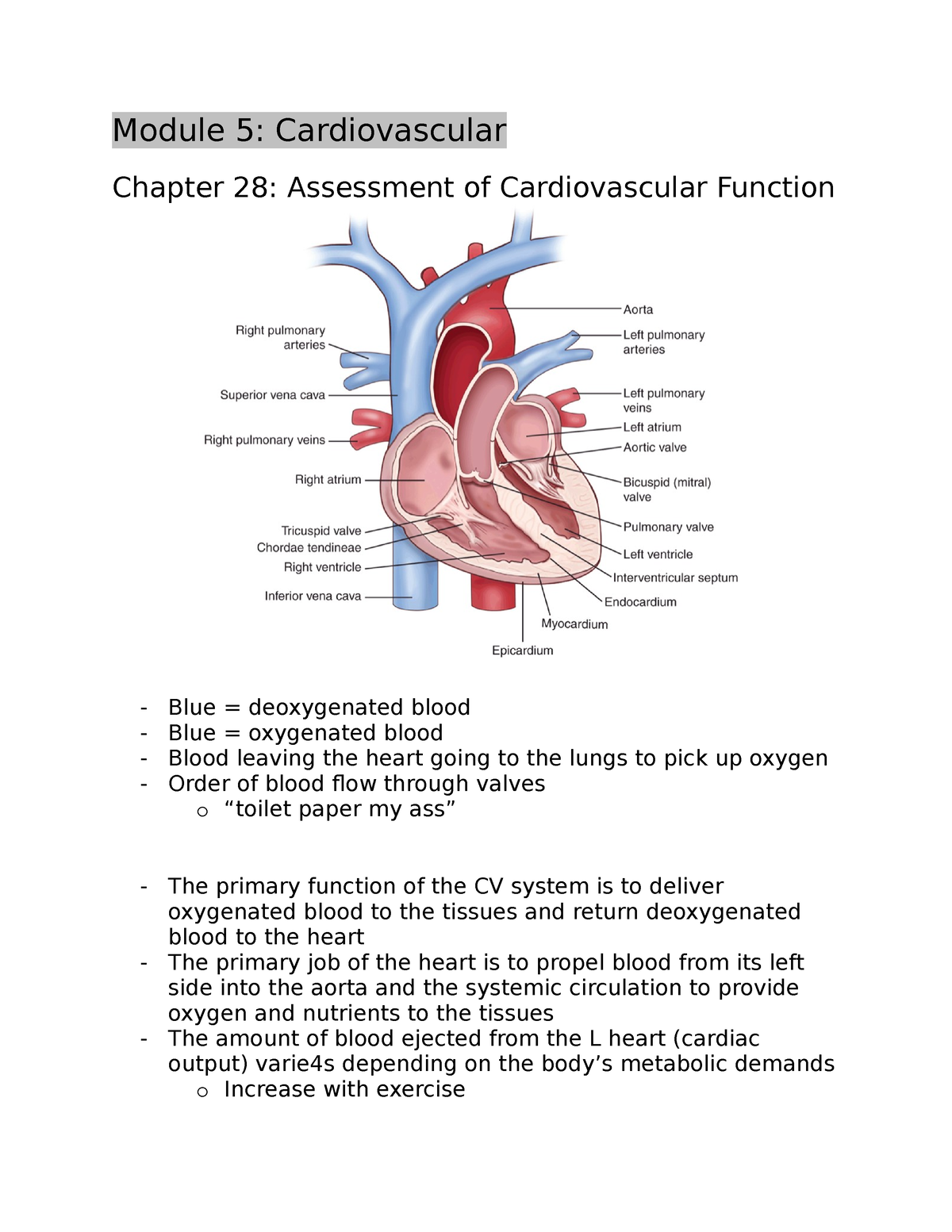Part 1 Notes Module 5 Cardiovascular Chapter 28 Assessment Of Cardiovascular Function Blue 3342