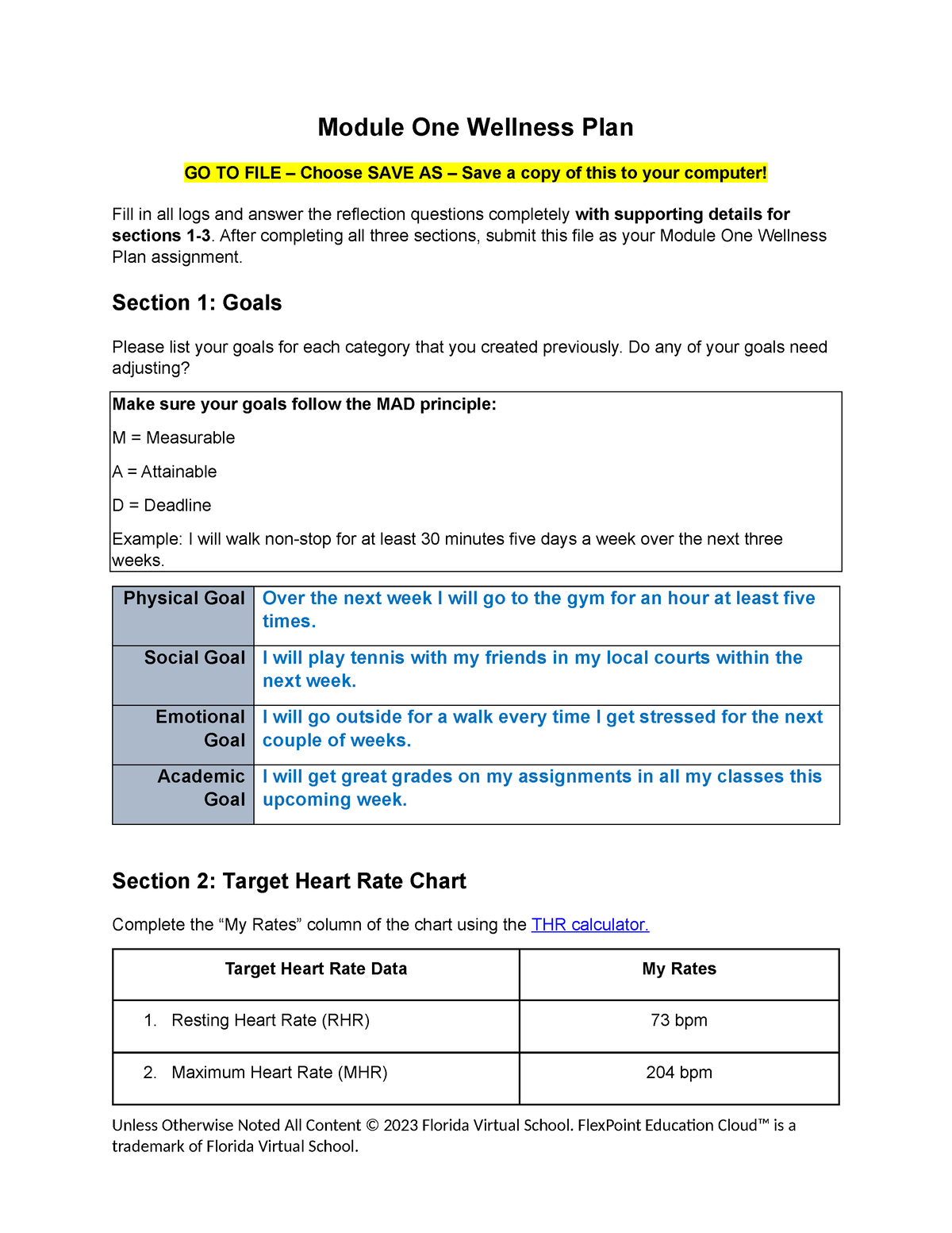 HOPE Module 1 Wellness Plan - Module One Wellness Plan GO TO FILE ...