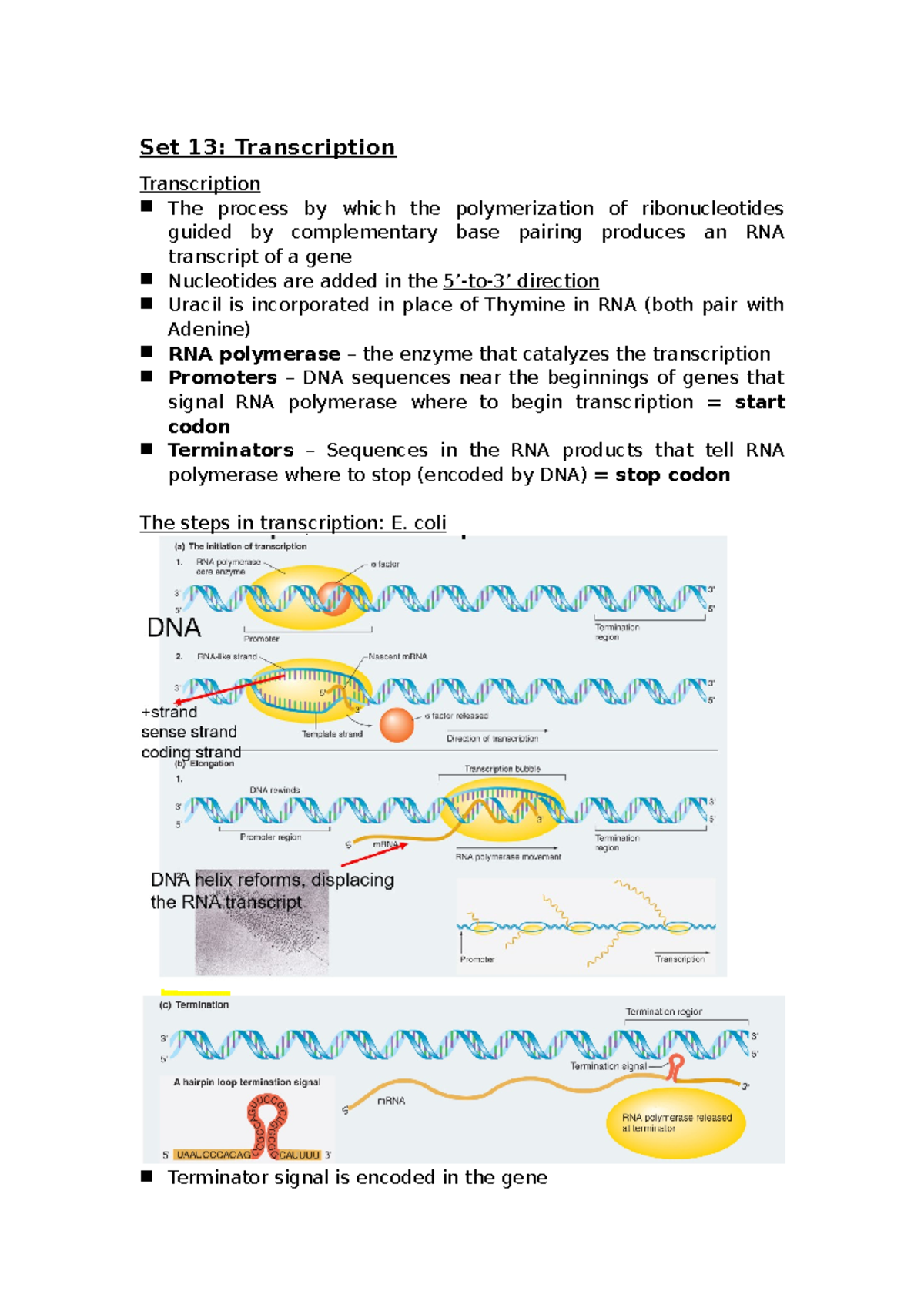 Lecture note 13-16 - Biol 239 - UWaterloo - Studocu