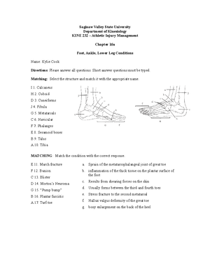 KINE 232 Ch. 6 worksheet - Saginaw Valley State University Department ...