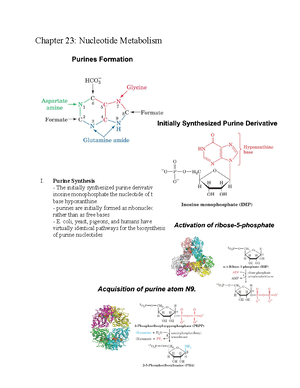 Biochemistry Chapter 1 Test Bank - Chapter 1: Introduction To The ...