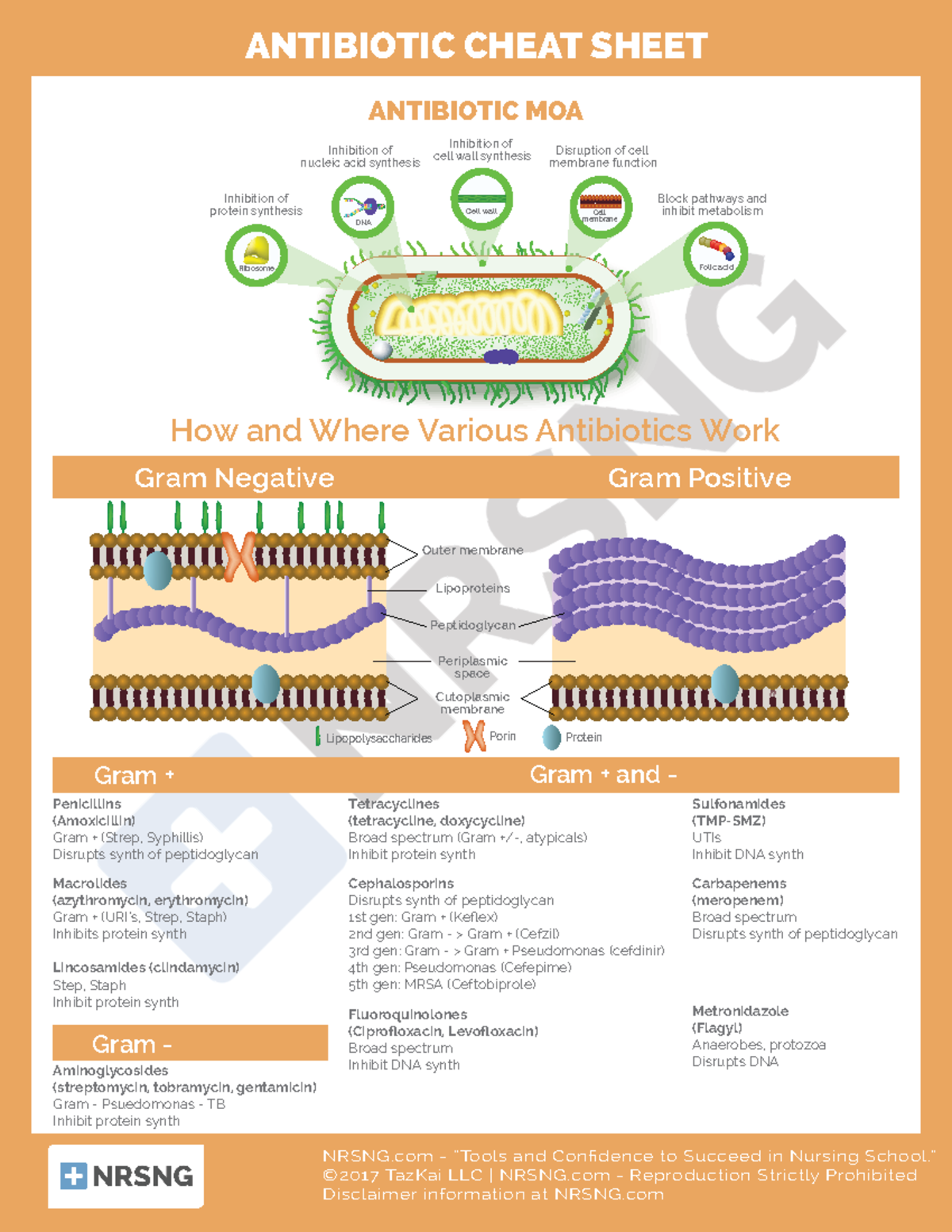 Antibiotic Cheat Sheet For Nurses