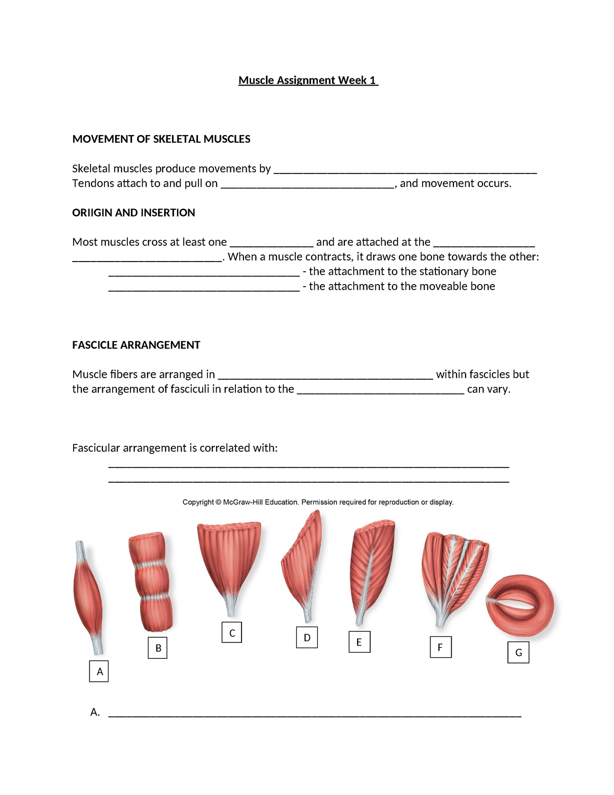 Week 1 Muscle Assignment - Muscle Assignment Week 1 MOVEMENT OF ...