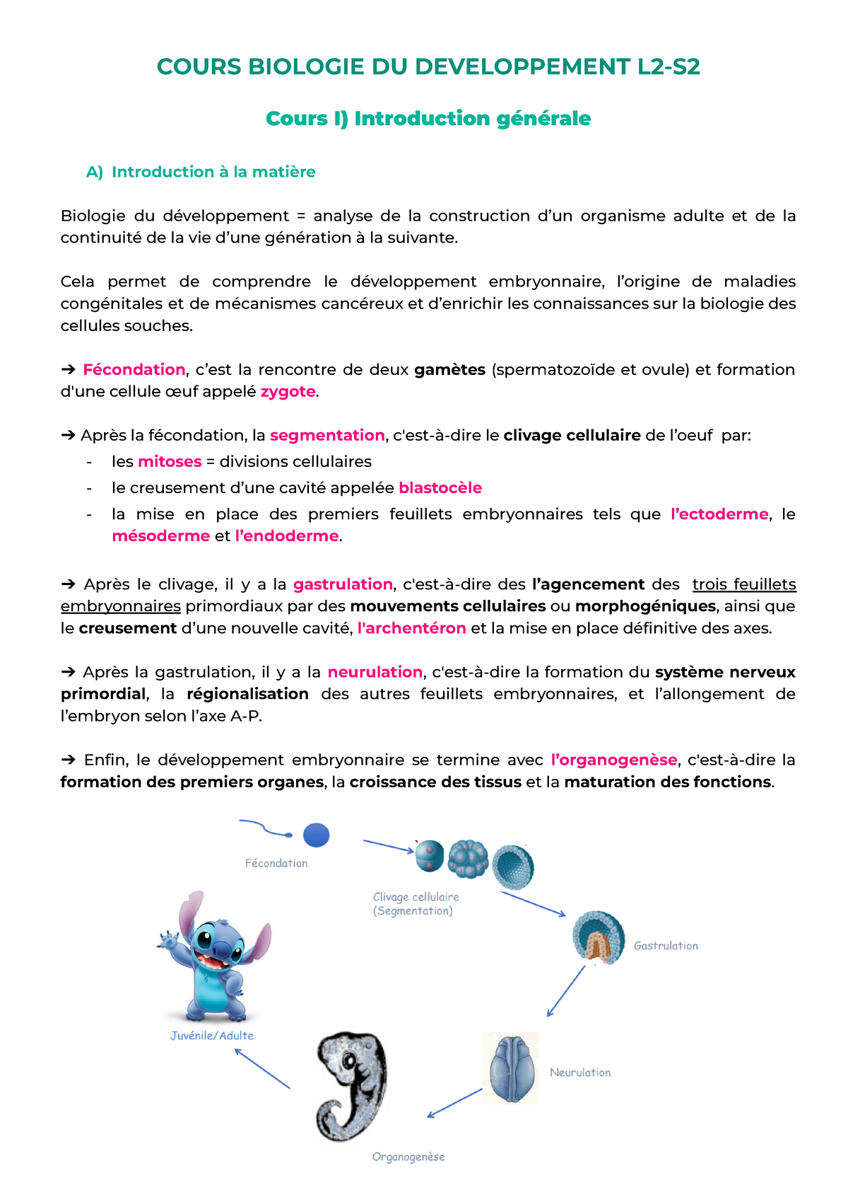 L2-S2 Biologie Du Développement Cours Complet - COURS BIOLOGIE DU ...