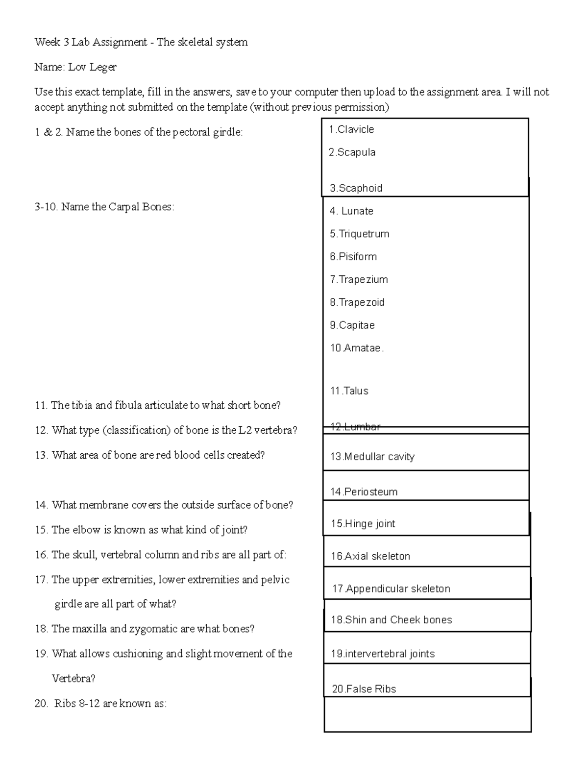 skeletal system lab assignment