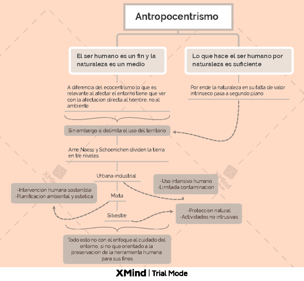 Antropocentrismo y su efecto en el enorno - Antropocentrismo El ser ...