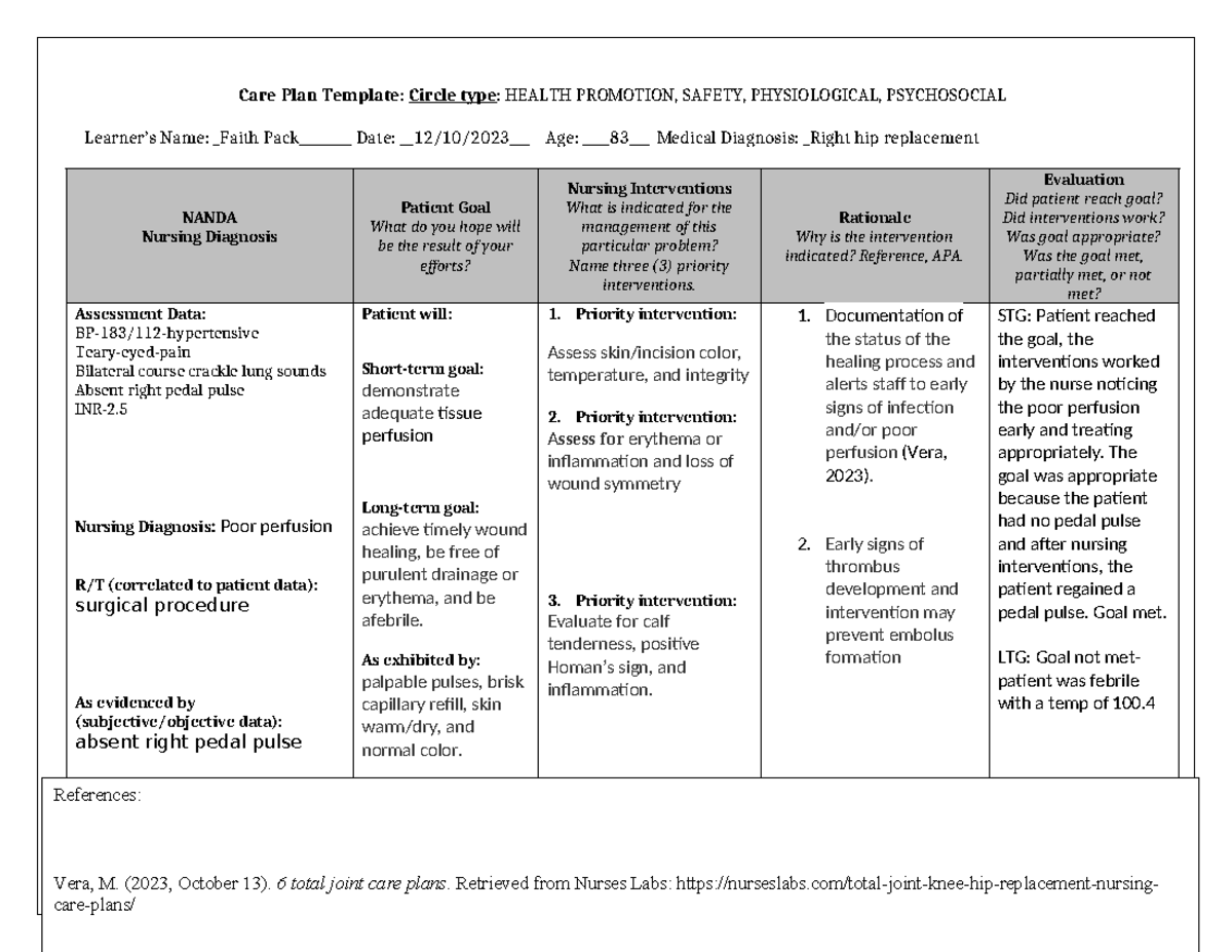 Hip replacment hip replacement care plan Care Plan Template Circle type HEALTH PROMOTION