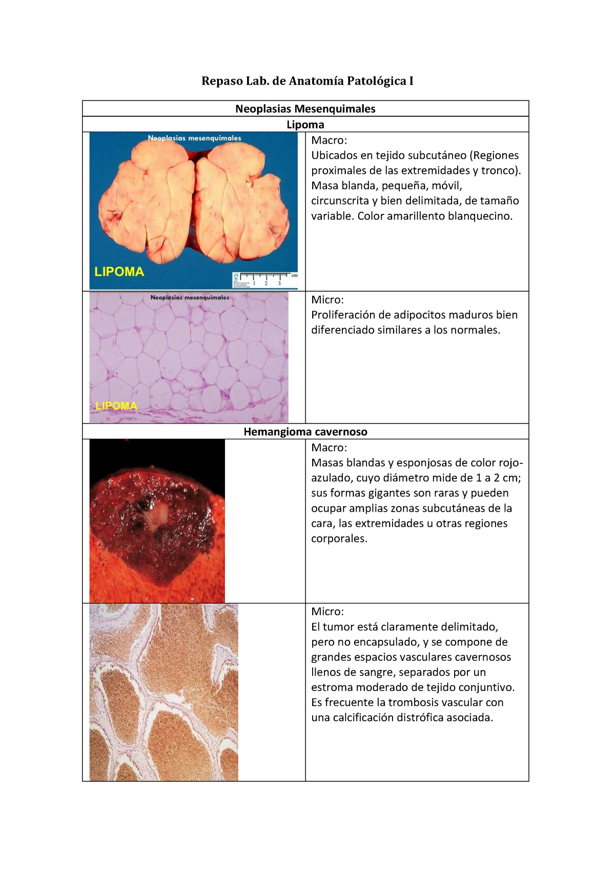 Repaso do parcial Lab Patológica I Repaso Lab de Anatomía Patológica I Neoplasias Studocu