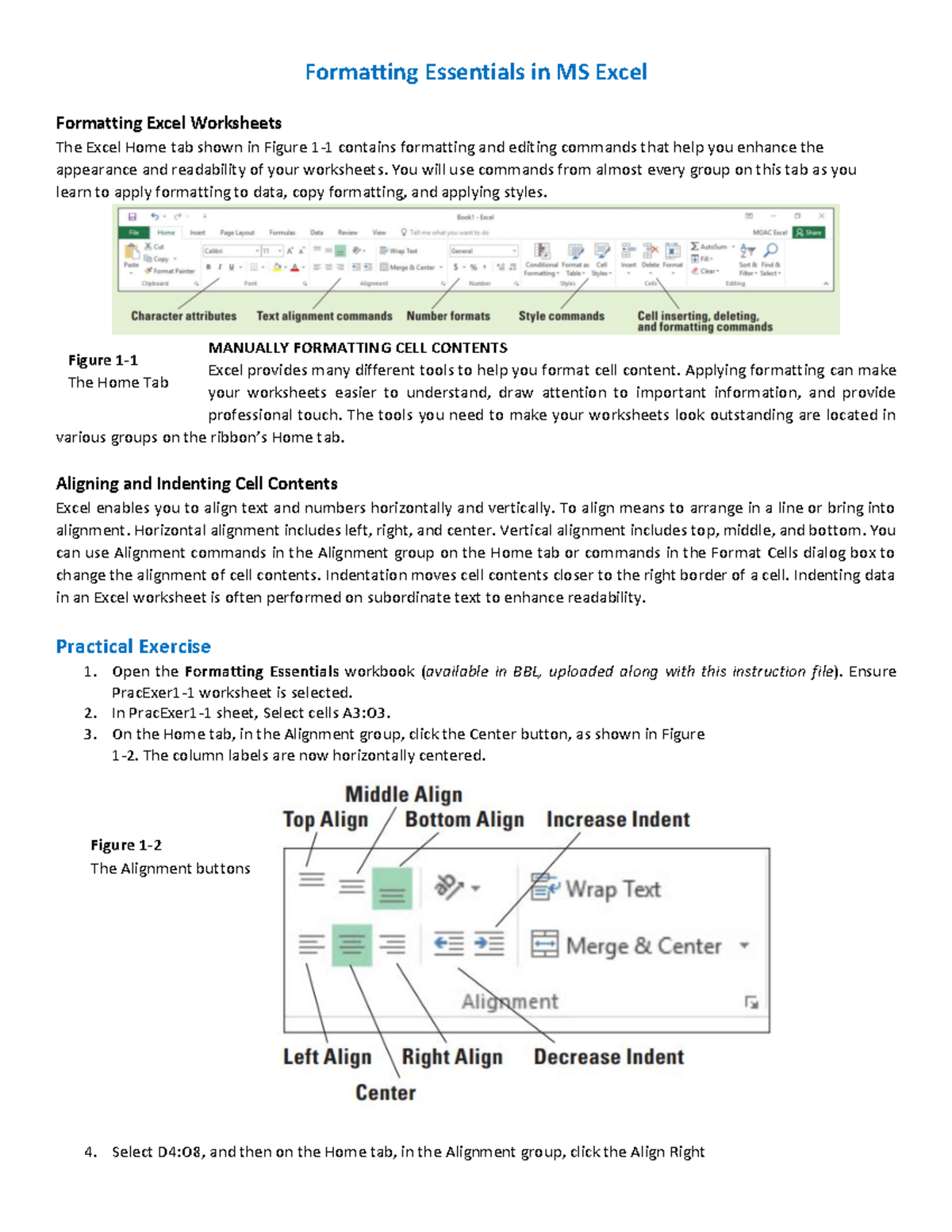 Instructions - Formatting Essentials in MS Excel - Formatting ...