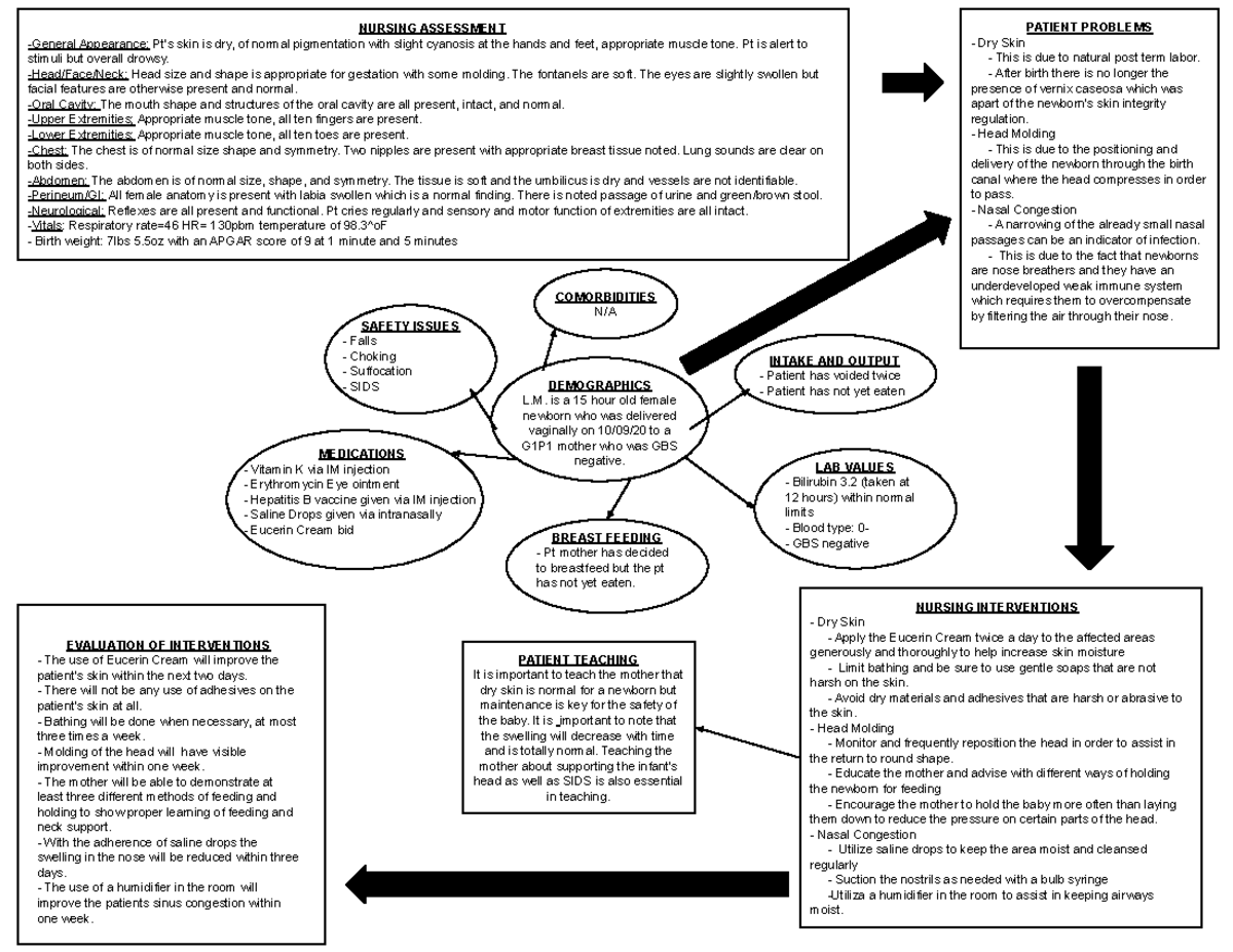 Baby concept map - DEMOGRAPHICS L. is a 15 hour old female newborn who ...