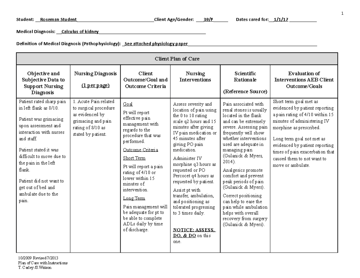 Care Plan Example - For purpose of using in the clinical setting when ...