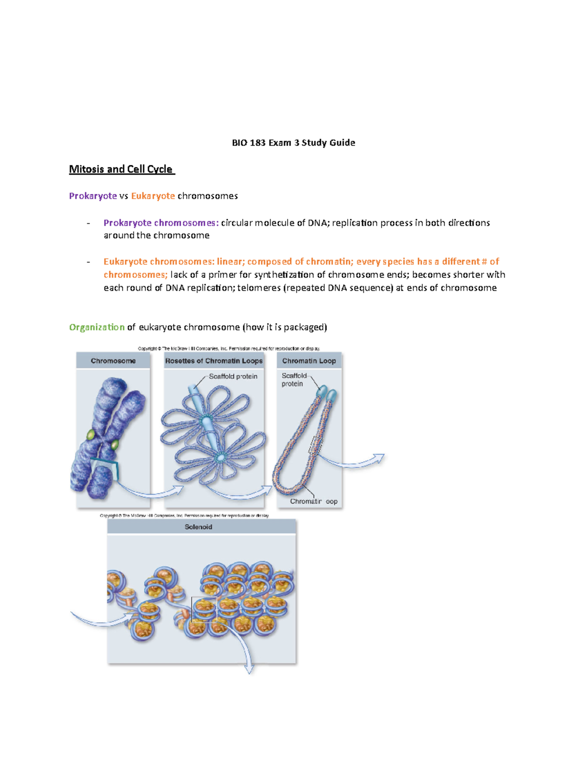 BIO 183 Exam 3 Study Guide - BIO 183 Exam 3 Study Guide Mitosis and ...