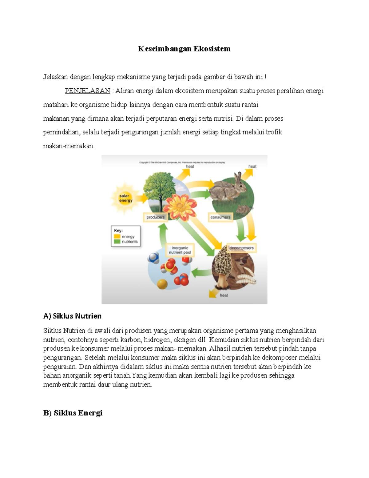 Ekologi Perairan - Keseimbangan Ekosistem - Keseimbangan Ekosistem ...