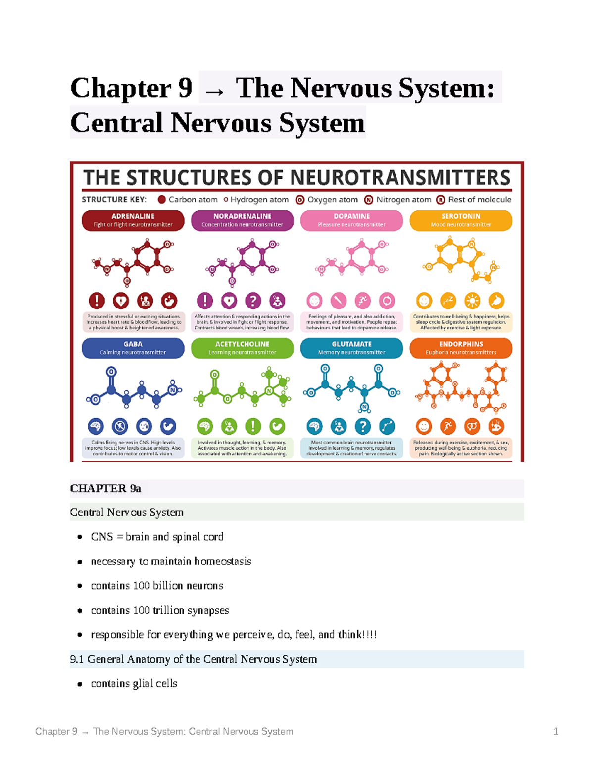 Chapter 9 The Nervous System Central Nervous System - Chapter 9 → The ...