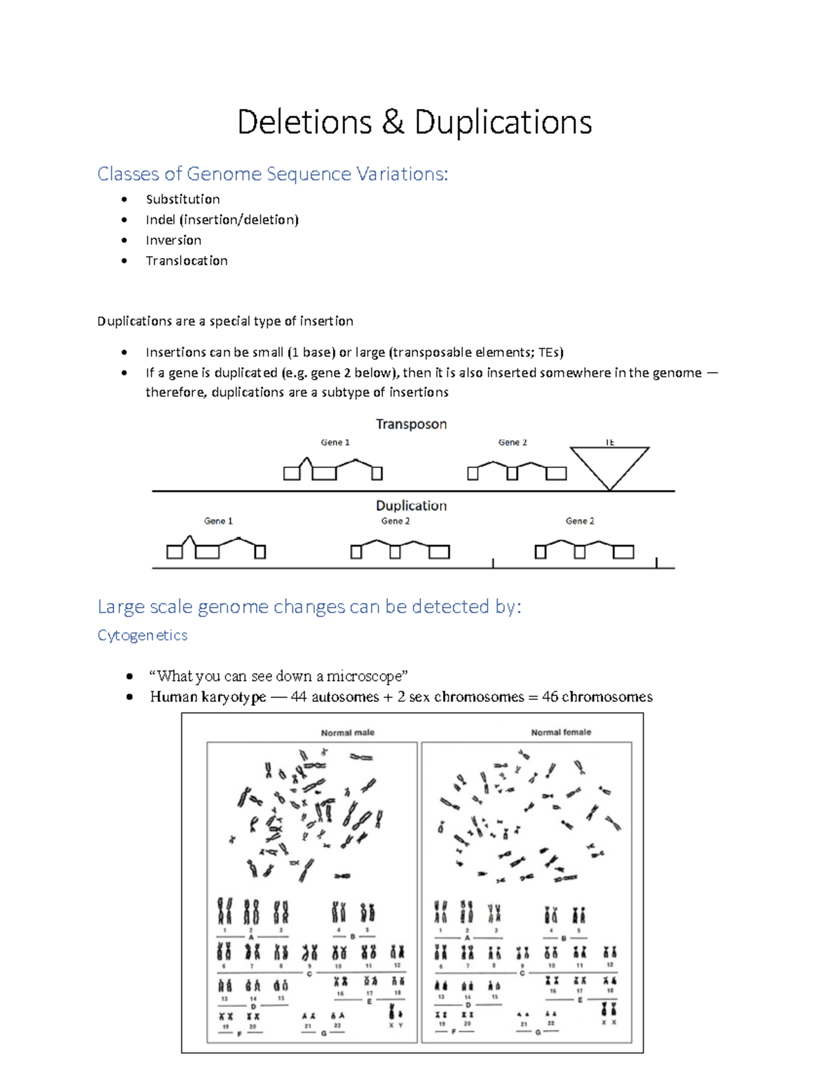 Week 11 Genetics - notes - Deletions Duplications Classes of Genome ...