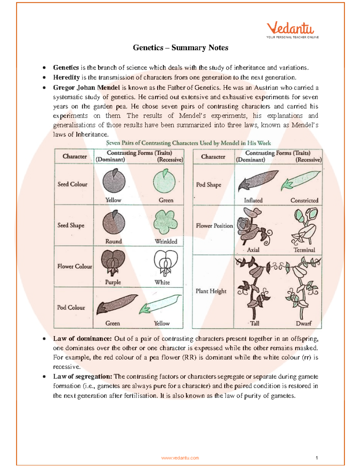 Class 10 Biology Chapter 3 Revision Notes - Genetics – Summary Notes ...