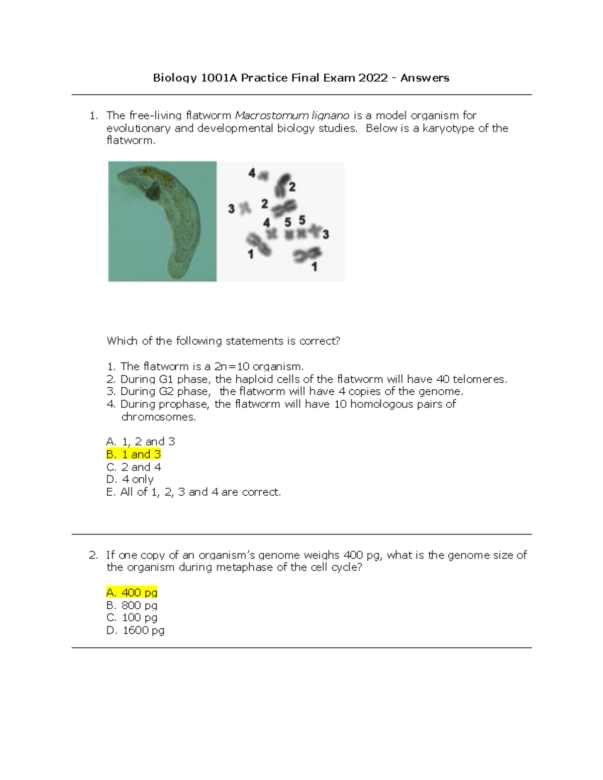 2022 biology essay answers