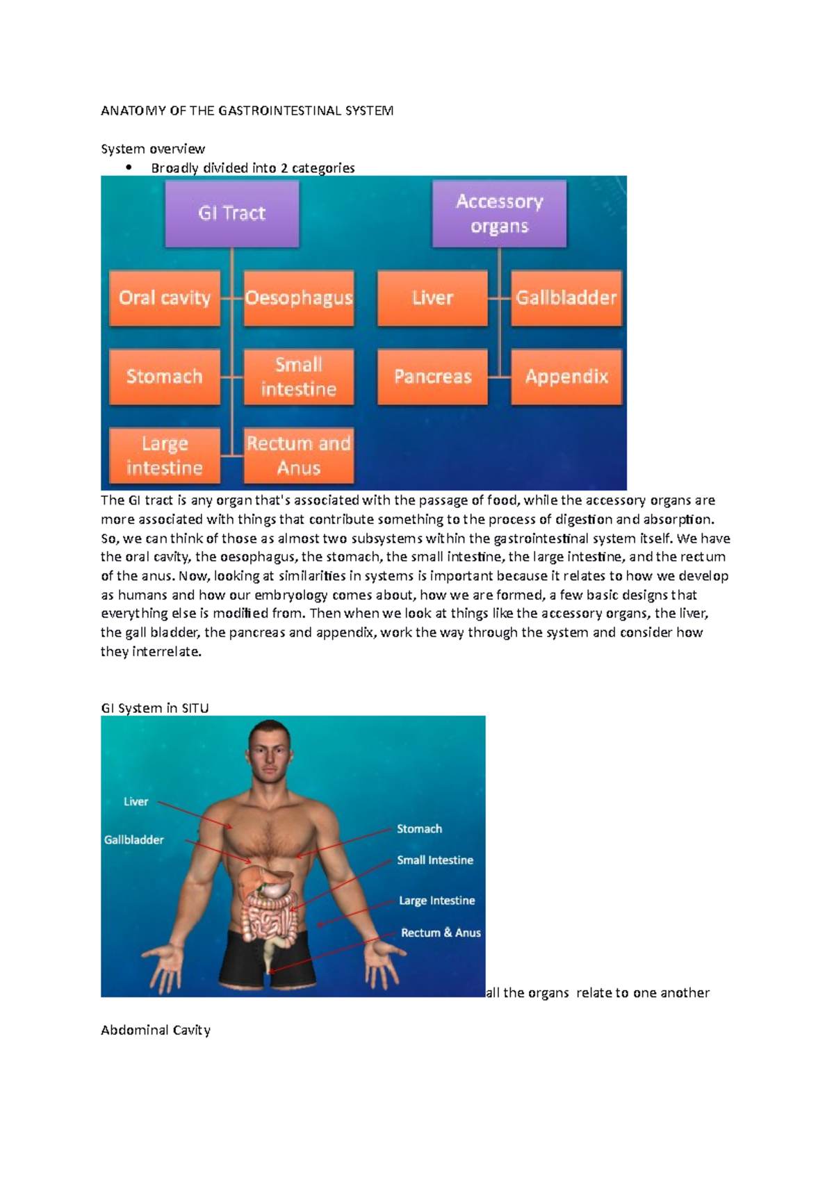 Hap lesson 9 - this lecture is about the liver and GI system. - ANATOMY ...