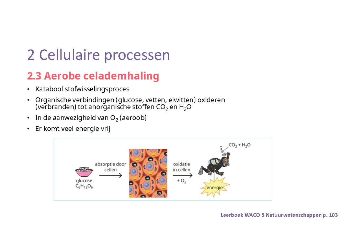 PPT T2H2-Aerobe celademhaling - 2 Aerobe celademhaling Katabool