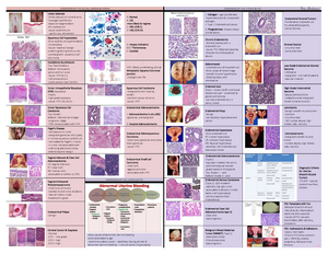 Anatomy and Physiology Question Bank (2000 ) - Martin Caon Examination ...