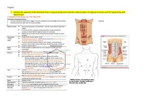 Inflammation & Repair - Tissue Repair - Tissue repair Healing following ...