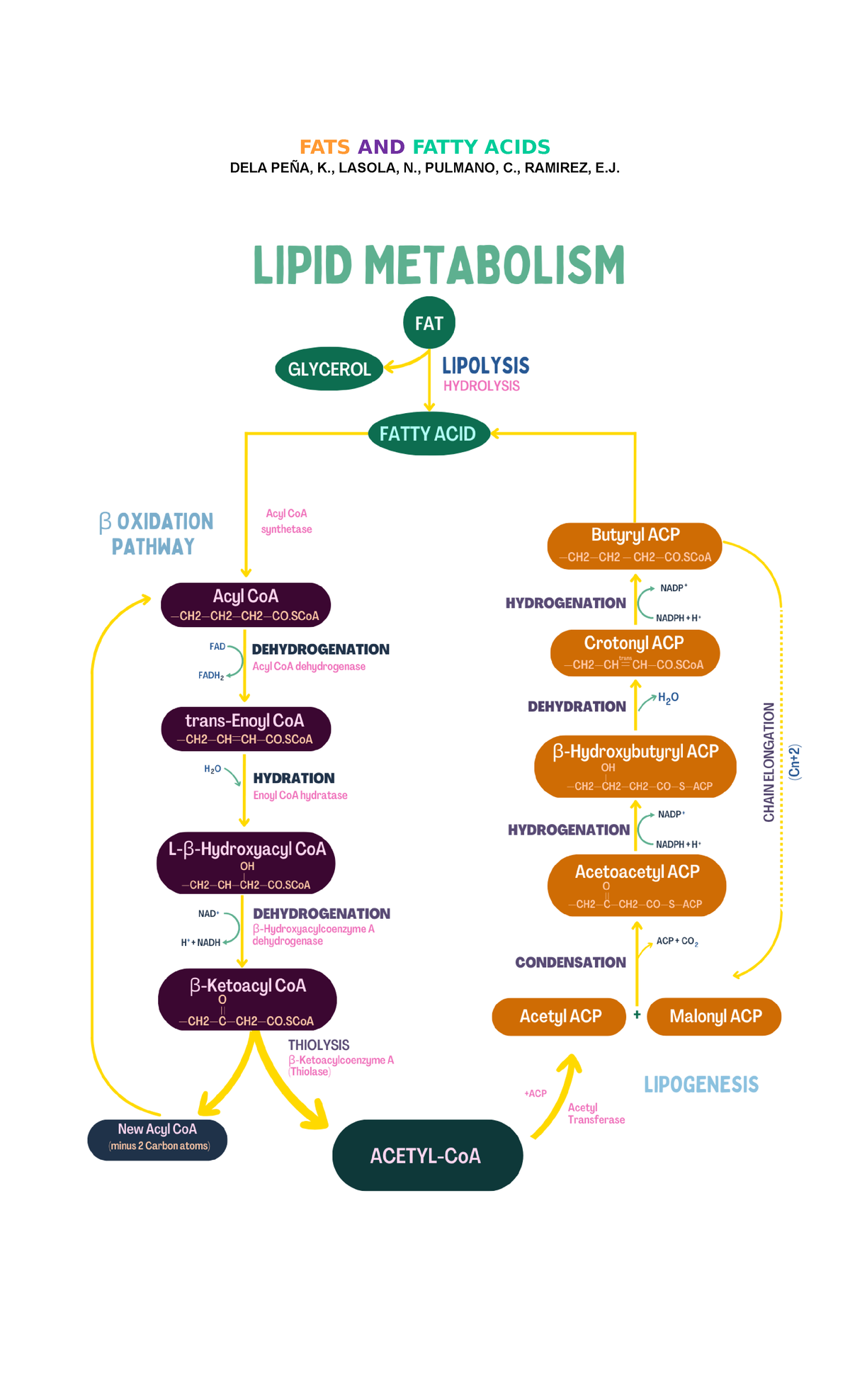 FATS AND Fatty Acids (for students) FATS AND FATTY ACIDS DELA PEÑA, K