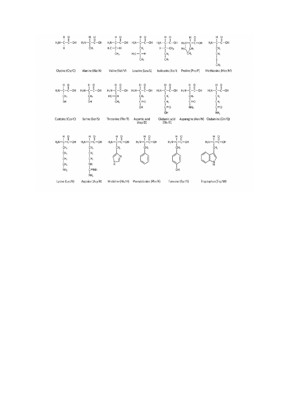 Amino acid chart CBMS223 Studocu