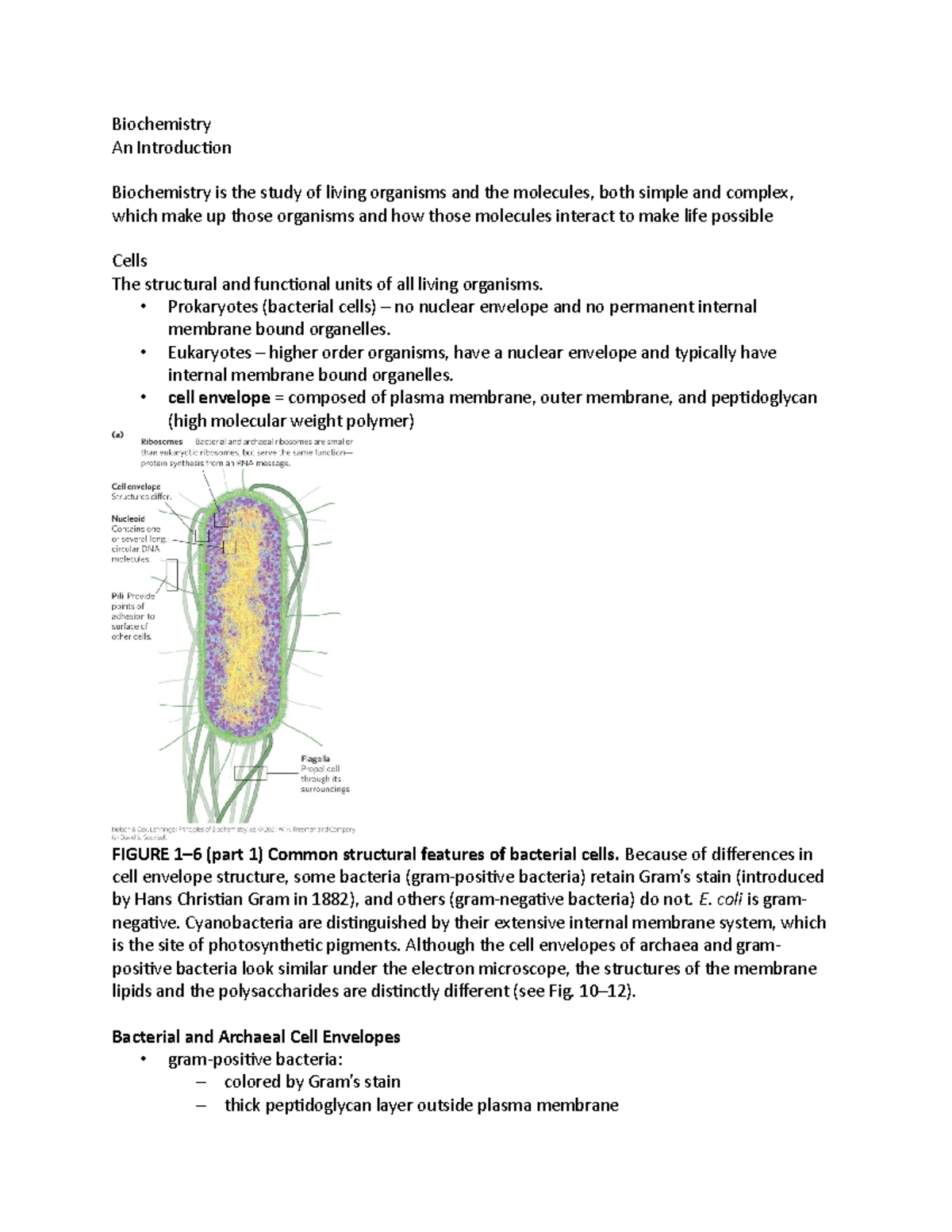 Exam 1 Lectures 1 and 2 - Biochemistry An Introduction Biochemistry is ...