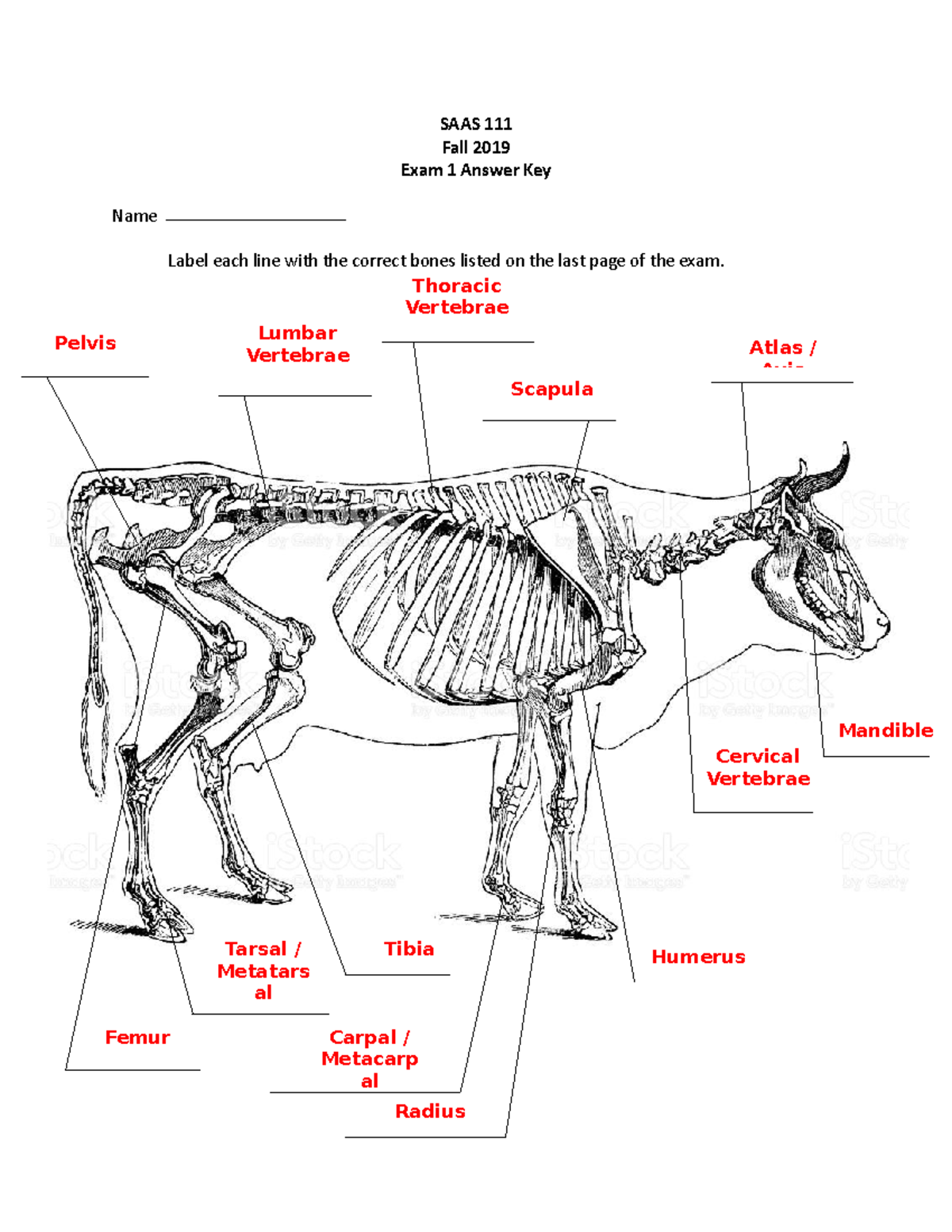 Exam 1 Answer Key - Practice exam - SAAS 111 Fall 2019 Exam 1 Answer ...